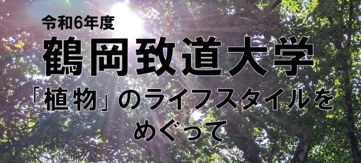 令和6年度鶴岡致道大学『「植物」のライフスタイルをめぐって』