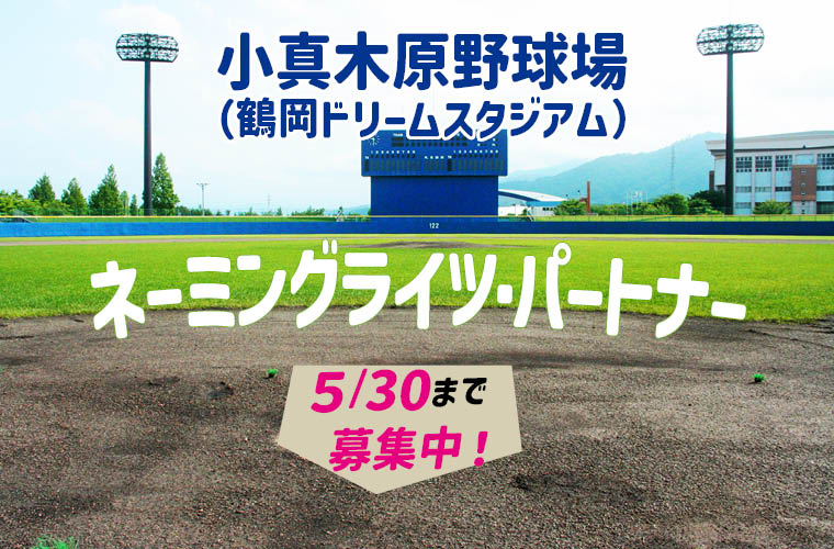 小真木原野球場ネーミングライツ募集