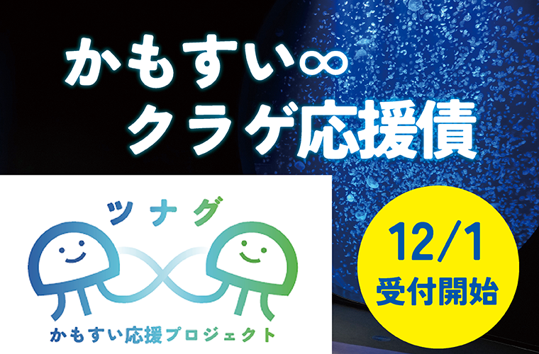 かもすい∞クラゲ応援債実施開始