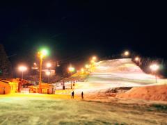 たらのきだいスキー場