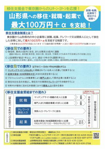 移住支援金チラシ