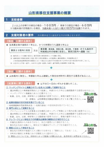移住支援金チラシ