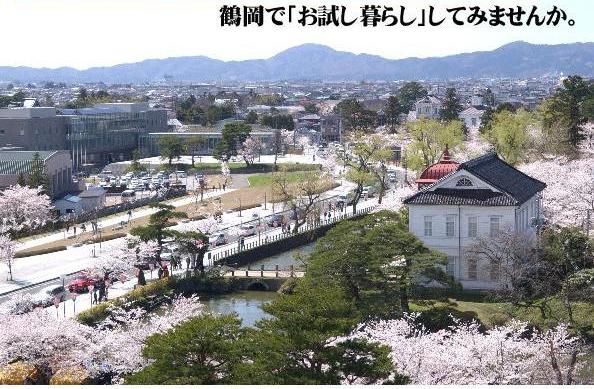 イメージ写真