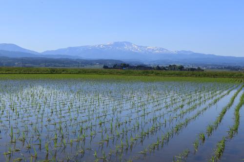 月山・田植え