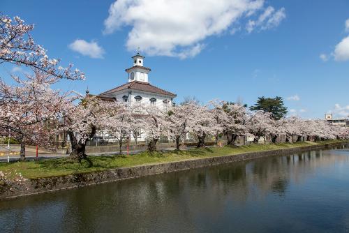 鶴岡公園の桜