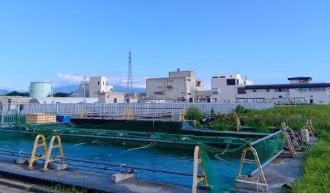 養殖池の写真