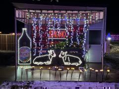 ���_�C���~2025�ʐ^