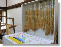 �����̐���̌n��