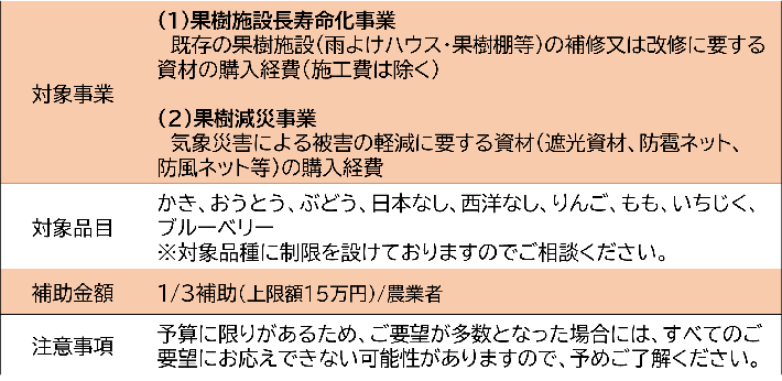 事業概要
