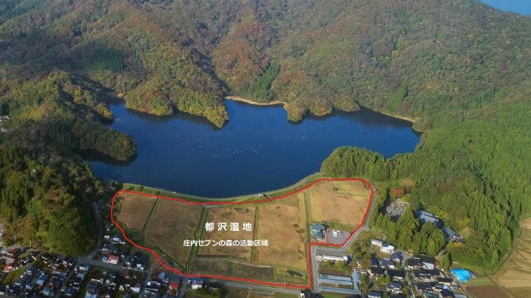 都沢湿地（庄内セブンの森の活動区域）