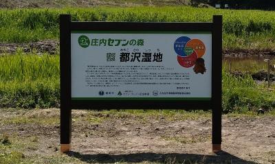 「庄内セブンの森」看板