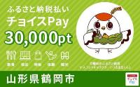 チョイスPay30000ポイント