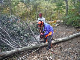 昨年開催した「チェーンソー講習会」の間伐材をこの植菌体験の榾木として循環利活用します