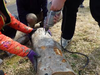 令和7年度開催状況