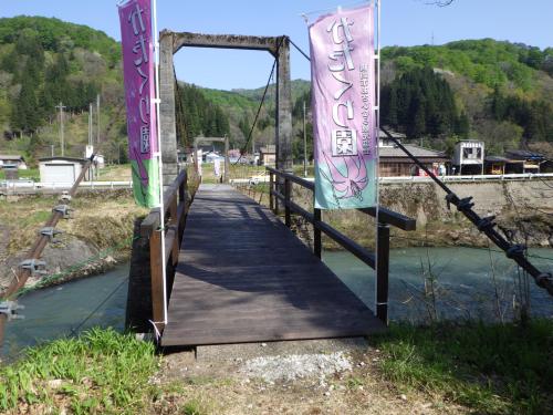 下田沢かたくり園の様子　5月1日現在