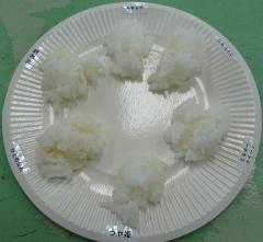 ご飯を盛り付けた写真