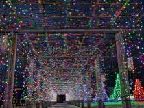 カラーチェンジ