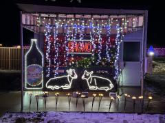 庄農イルミ2025写真