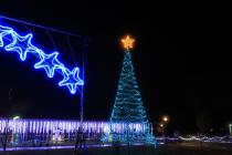 【画像】8mツリー