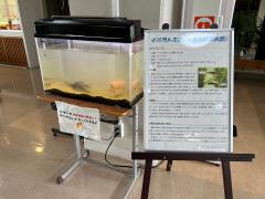 展示中