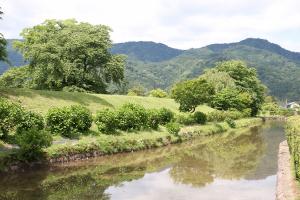 公園風景