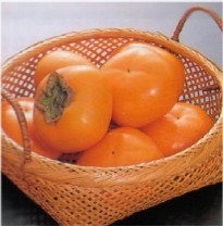 庄内柿の写真