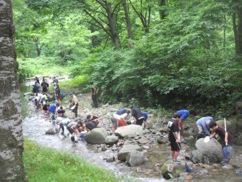 水生生物調査の様子