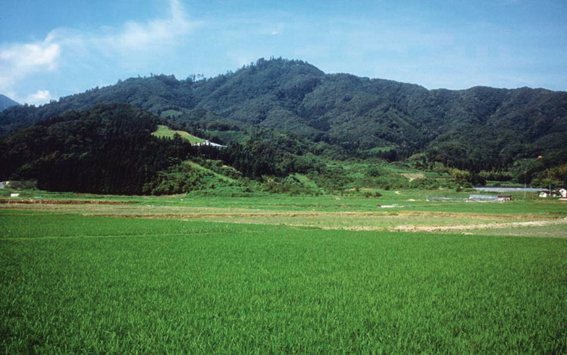 金峯山