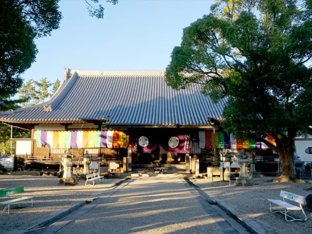 大樹寺（愛知県）