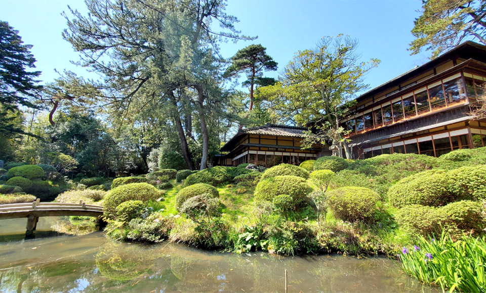 砥部焼 鶴 2羽 古美術 骨董 日本庭園 オブジェ 砥部焼 鶴 2羽 古美術 骨董 日本庭園 オブジェ