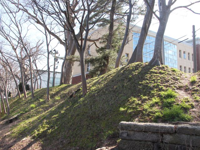 亀ヶ崎城跡