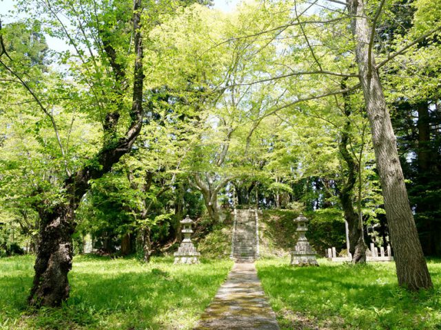 白岩