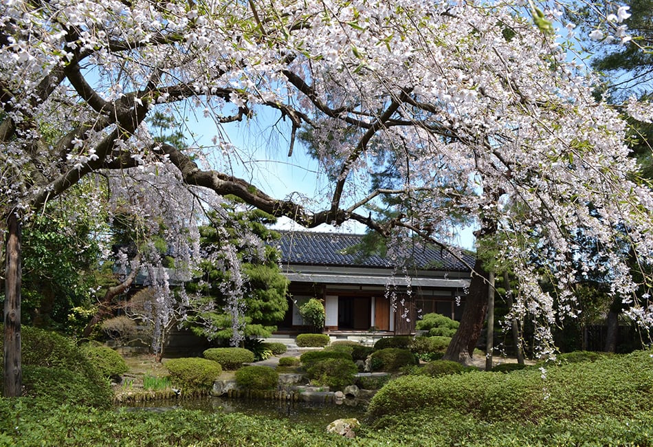 菅家庭園 | 酒井家ゆかりの地