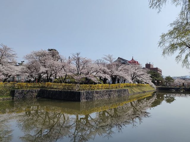 鶴岡公園（鶴ヶ岡城址）
